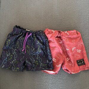 Toddler Dinosaur Swim Shorts Set (Size 90 / 2T) – Navy & Red